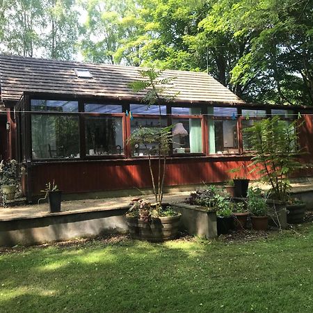 Pine Chalet 뮤어오브오드 외부 사진